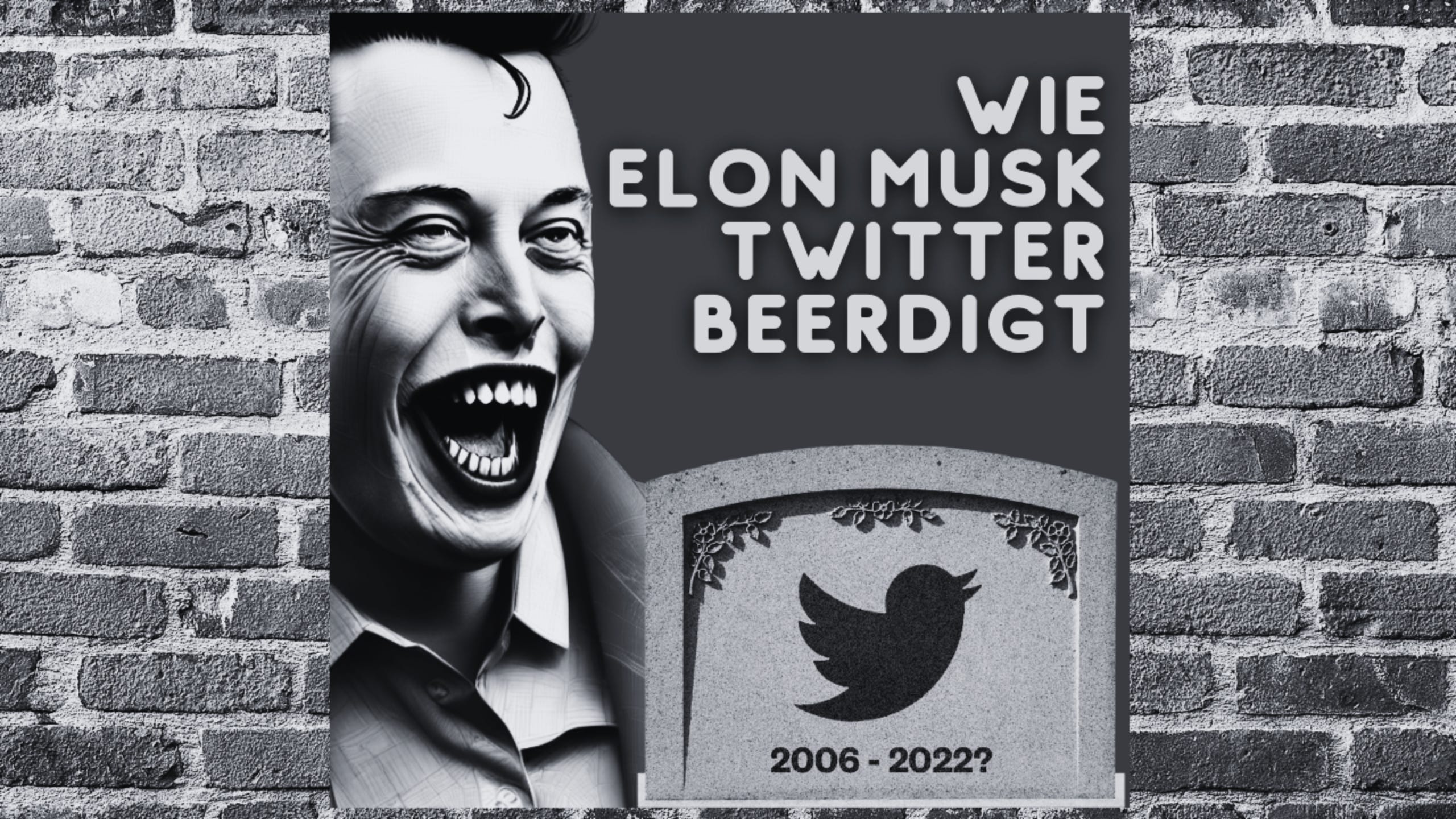 Wie Elon Musk Twitter beerdigt