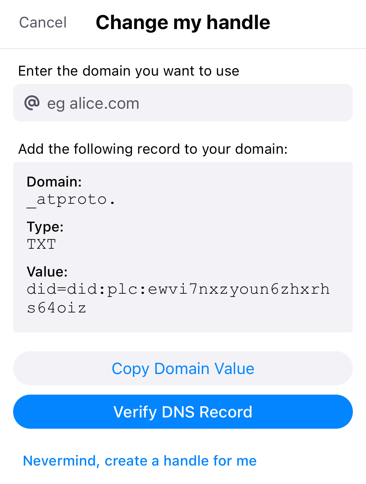 Domain TXT record