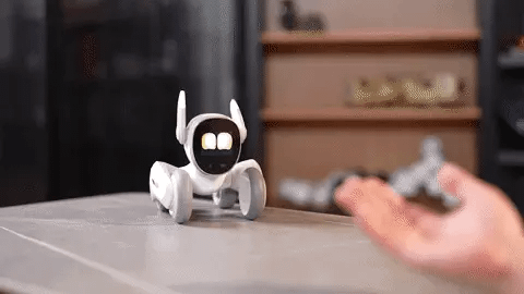 An animated image of the Loona pet robot having its chin stroked.